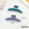 Elegant Multi-Color Acetate Hair Clip - Jelly Shark Grip for Women