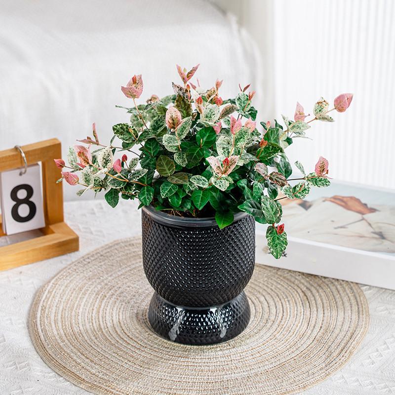 Lazy Flower Pot Self Watering Flowerpot Indoor Succulent Hydroponic Plants Pot Garden Planter Pots Home Bonsai Decoration