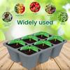 3 Stück Anzuchtschalen 6 Zellen Silikon Anzuchtschale Wiederverwendbarer Gartenbau Anzuchtbehälter mit Drainagelöchern