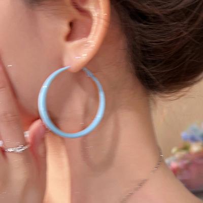 Silver Needle Simple Plain Ring Earrings Versatile Light Luxury Cold Wind Circle Ear Buckle Millennium Spice Girl Fashion Earrings Women