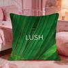 Brand Logo LLush Cushion Cover Premium Comfort Reversible Pillow Cove Two In One Design For Any Room  Car Interior