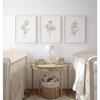 Boho Neutral Watercolor Peony Canvas Wall Art Set, Beige Botanical Prints, Minimalist Living Room Bedroom Home Decor & Gifts