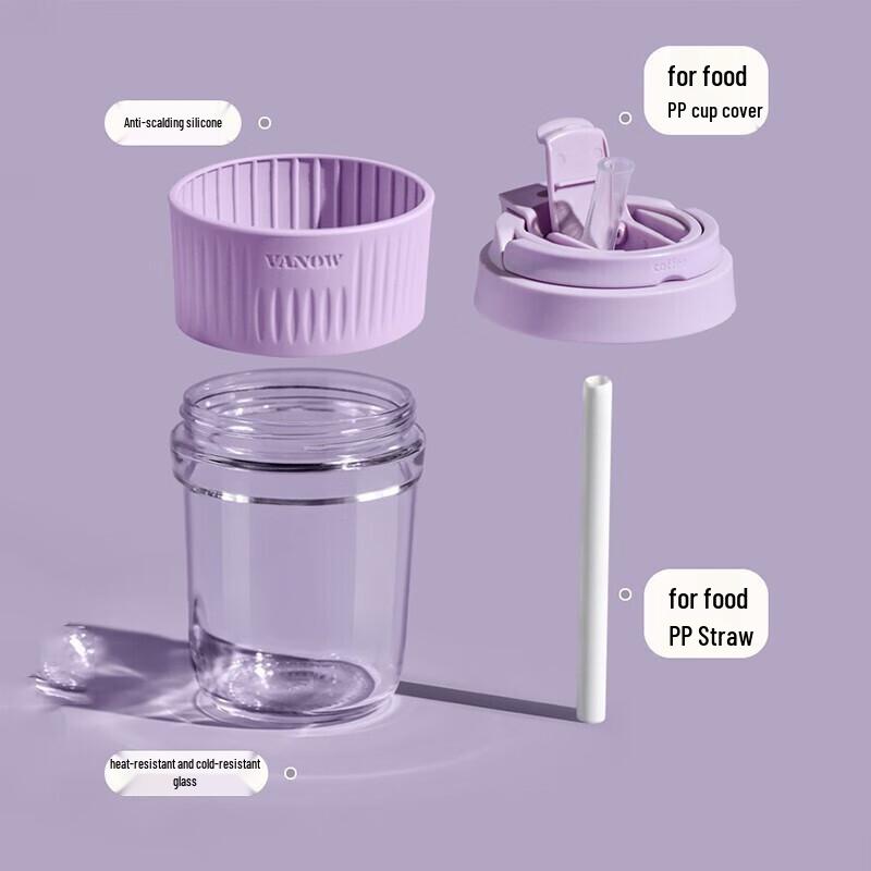Vanow Borosilicate Glass Tumbler with Straw