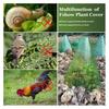 Garden Cloches Reusable Plant Cloches Transparent Bell Jar Covers for Protecting Plants Seedlings from Sun Frost Snails Birds