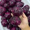 Crunchy Squeeze Red Cabbage Stress Ball-Squeeze Toy For Anxiety Relief,Fidget Sensory Toy For Adults,Soft Feel Asmr Sensory