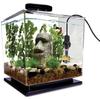 Mini Aquarium Heizer Tauchbecken Wassertemperatur Automatisch 26 Grad Thermostat Heizstab mit Saugknöpfen