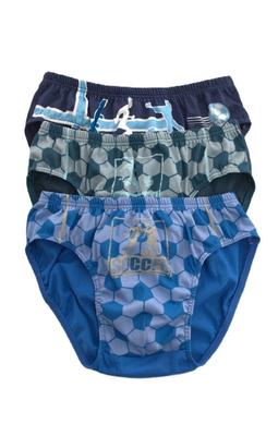 DC Polo 2761 Boys Briefs A'3 8-12 Years DC Polo