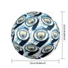 Ballon de Football de Match Taille 5 Thème Manchester City Professionnel Extérieur Football Doux Toucher Ballon d'Entraînement