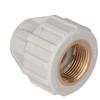 PP-R GW Connector - 20 Rp3/4"