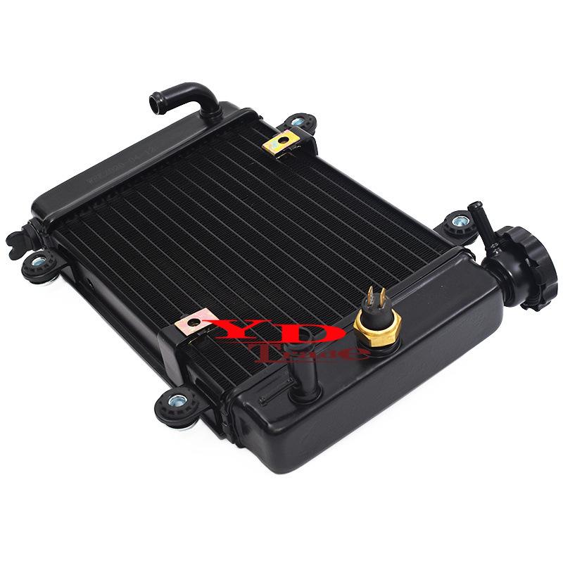 ATV Off-Road Motorcycle Accessories: Big Bull Dinosaur Water-Cooled Fan Radiator