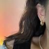 Stainless Steel Smooth Star Zircon Hoop Earrings for Women Girls Metal Chunky Sun Rhinestone Ear Buckle Punk Y2K Elegant Jewelry