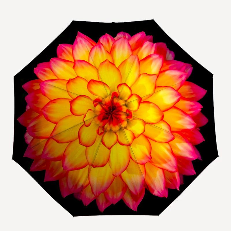 

1pc Flower Print Automatic Open/close Folding Umbrella, Compact Portable Travel Umbrella, Perfect Birthday/Christmas, Cute Umbrella, Durable
