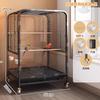 Luxury Bird Cage for Parakeets Cockatiels Lovebirds Premium Parrot Home Spacious Habitat for Indoor Splash-proof Metal Aviary