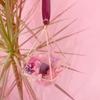 Wall Decoration Hanging Metal Geometric Air Plant Flower Pot
