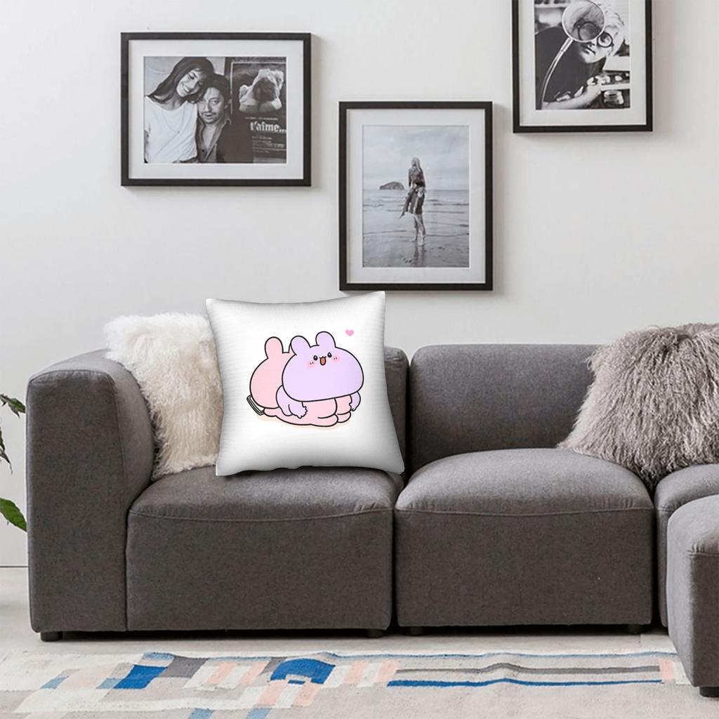 Pillow Cover Asamimichan and Anemimi  Morden Pillow Case For Sofa Couch Bed Living Room Pillowcases