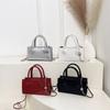 Leisure 2025 new large-capacity fashionable casual messenger portable small square bag