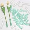 100/200Pcs PVC Flower Fresh-keeping Tube Cap Water Storage Tube Flower Arrangement Flower Water Tube Hydroponic Contain