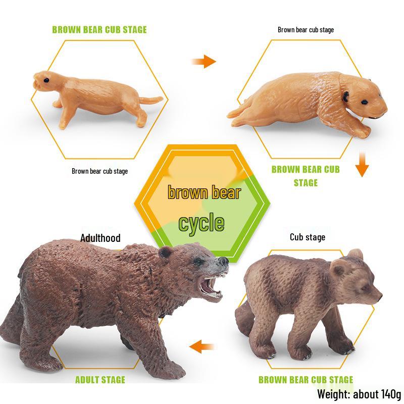Animal Growth Cycle Models: Chicken, Duck, Goose, Butterfly, Turtle, Frog Montessori Teaching Figurines
