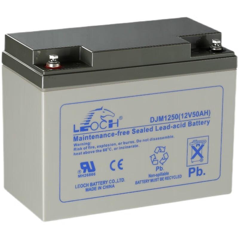 LEOCH Maintenance-Free Lead-Acid UPS Battery