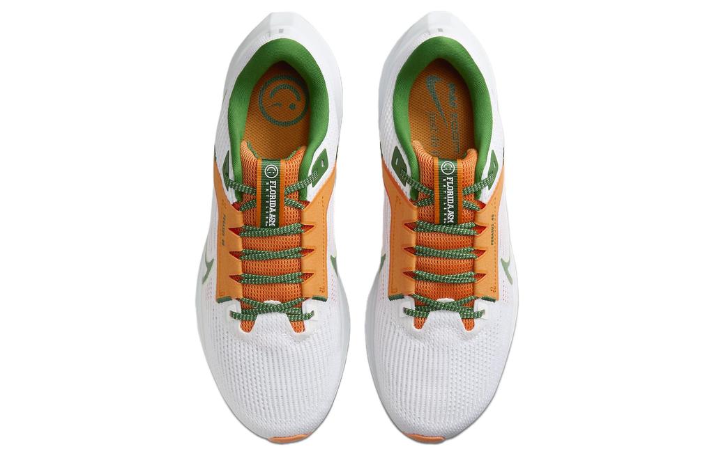 Nike Pegasus 40 Famu DZ5941-100