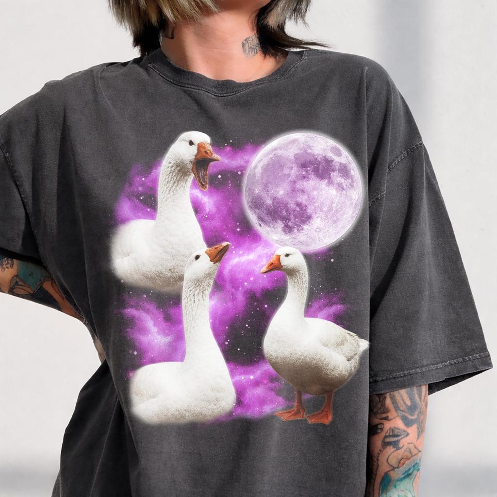 Mystical Goose T-shirt, Retro Space Duck Celestial Graphic Top