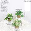 Simulated Green Plants Nordic Style Potted Plants Dripping Guanyin Leaves Simulated Green Plants Living Room Office Decoration
