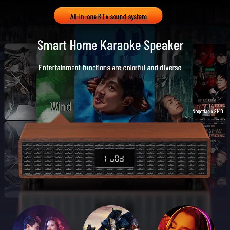 SANSUI C50 Home KTV Audio System