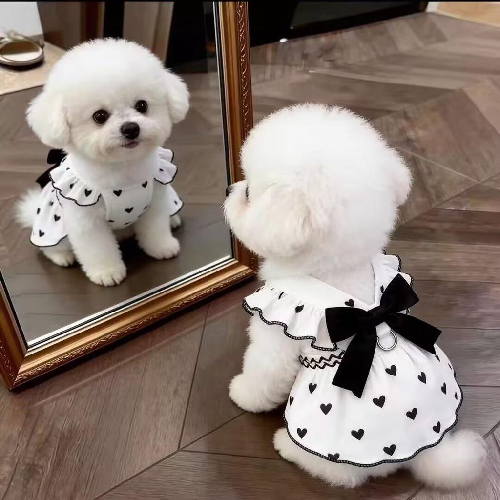Sun Protection Lace Off-Shoulder Dress Thin Dog Princes Dress Flower Print Princess Skirt Anti-Static Puffy Skirt Small D...