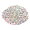2022 Autumn&Winter Gorgeous Nail Accessories Sequins Bulk Glitter Powder Nail Stickers