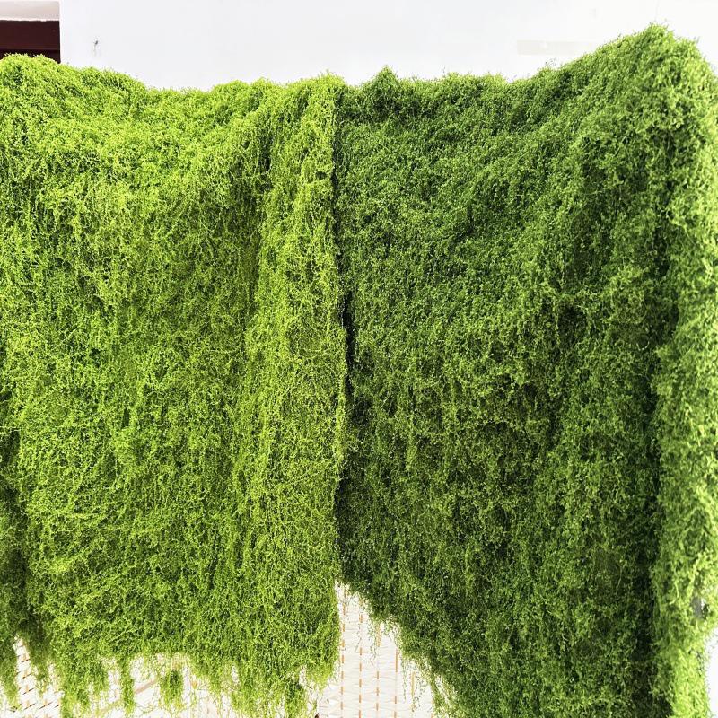 Preserved Moss Landscape: Greenery for Weddings, Terrariums, and Bonsai
