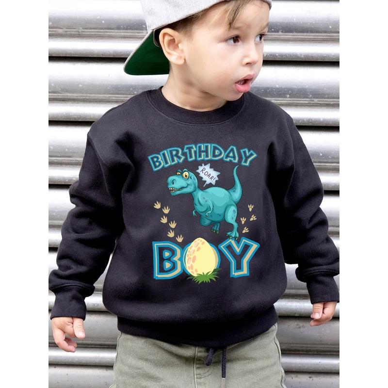 European sizes Kids'  Fashion Fleece Sweatshirt BIRTHDAY Kid Dinosaur And Dinosaur Eggs Cartoon Pattern Print Loose Casual Long Sleeve Pullover