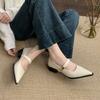 Fashion Shoes Woman Flats Shallow Mouth Pointed Toe Dress Comfortable On Heels New Summer Spring Mary Janes Shoes Woman 2025 Pointed Toe
