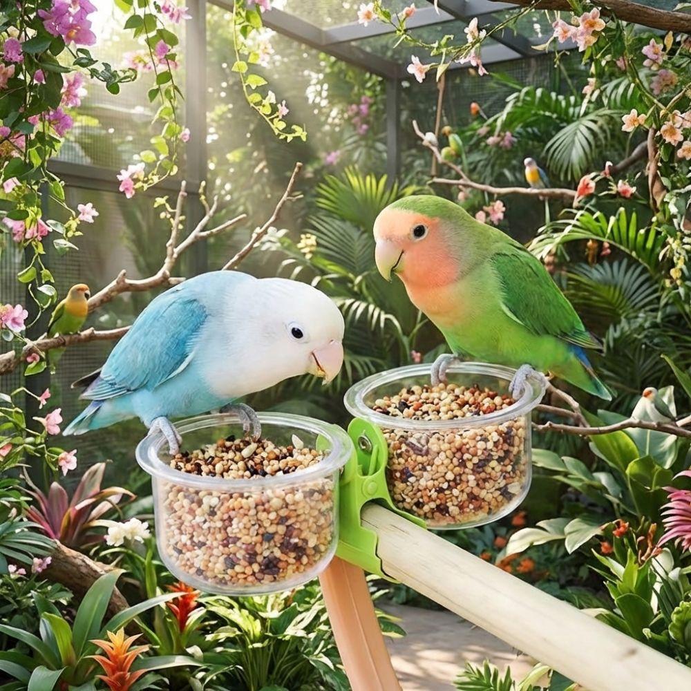 With Clip Bird Cage Feeder Transparent Pet Bird Feeder Parrot Food Bowl  Small Pet Bird
