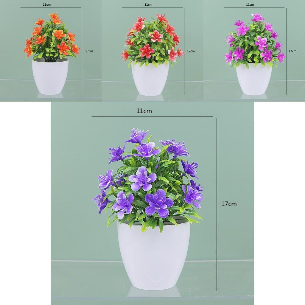 Plastic Causonis Japonica Plant For Indoor Decoration Perfect For Living Room And Office