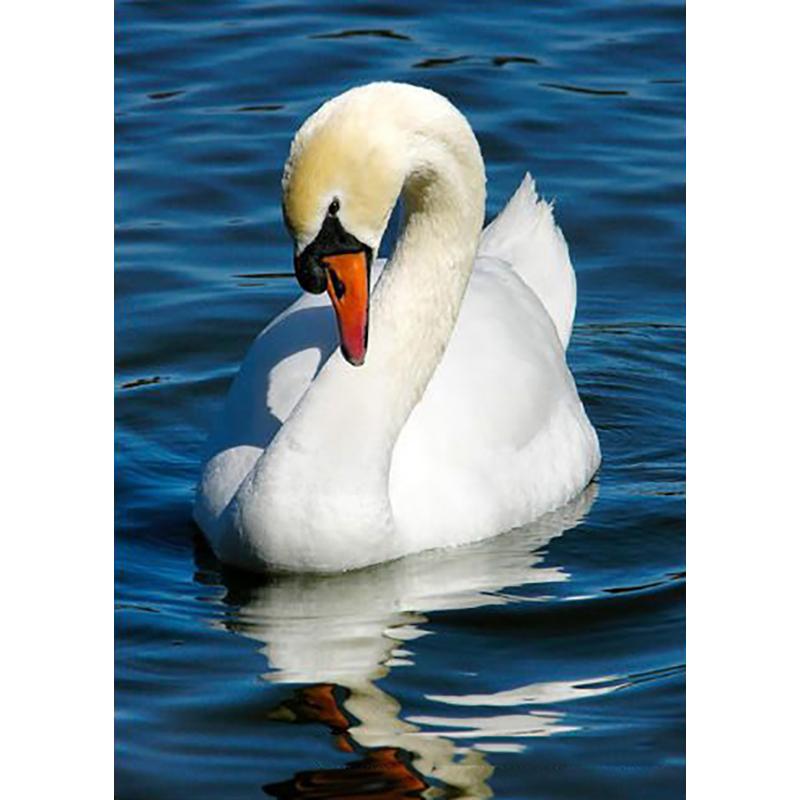 Gör-det-själv Swan 5D Diamantmålning Hel Rund Borr Diamantbroderi Djur Rhinestones Korsstygn Hantverkssats Gåva Heminredning