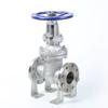 OIMG 304 Stainless Steel Flange Gate Valve