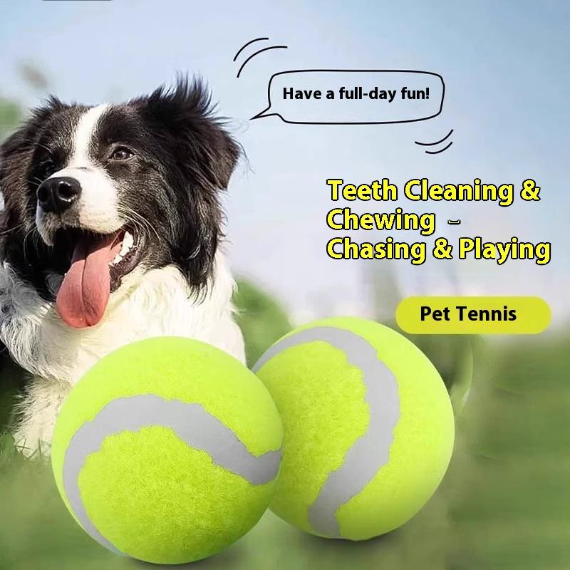 Pet Toy Tennis Dog Grinding Teeth Rebound Elastic Ball Outdoor Training Ball Interactive Toy Puppy