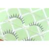 Lactacia - Künstliche Wimpern (Verschiedene Designs)
