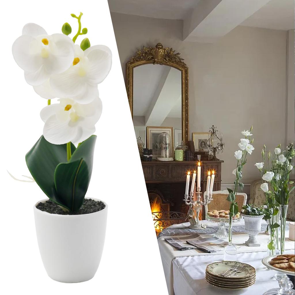 Potted Orchids Artificial Orchid Garden Office Pink Plus White Rose White Plus Rose ABS Material Mother\'s Day
