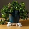 3pcs Flower Pot Stands, Saucers, Pot Feet, Base Pads, Gardening Potted Plant Trays, Plant Pot Supports,Anti-Corrosion Properties