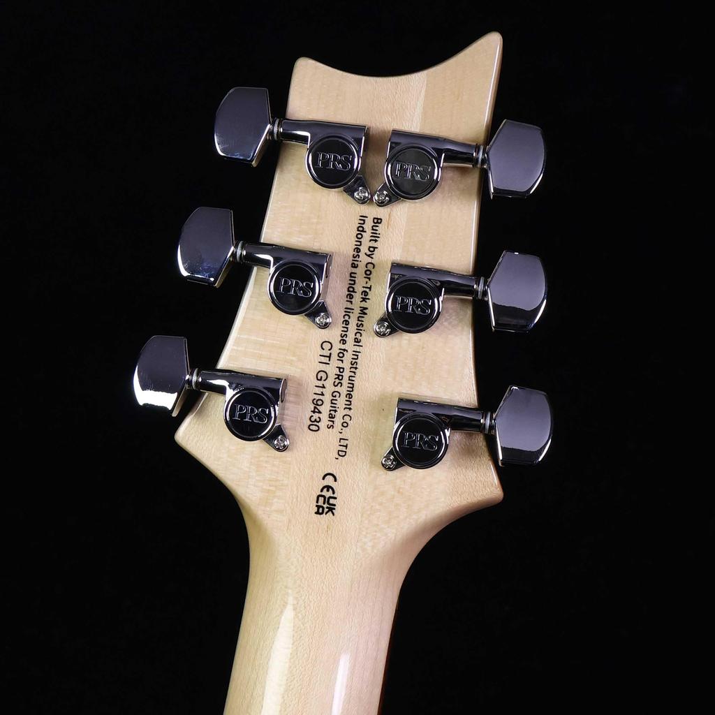 SE Custom24 Blue Matteo Natural Back