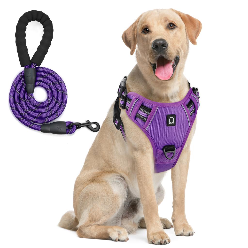 Dog Harness and Leash Combo, Escape Proof No Pull Vest Harness, with 5 Feet Leash, Reflective Adjustable Soft Padded Pet Harness