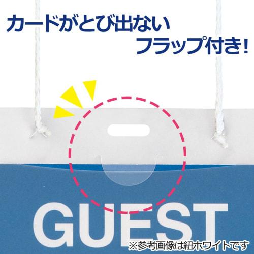Plus name tag, hanging type, for events and exhibitions, 50 pieces, blue 84-704