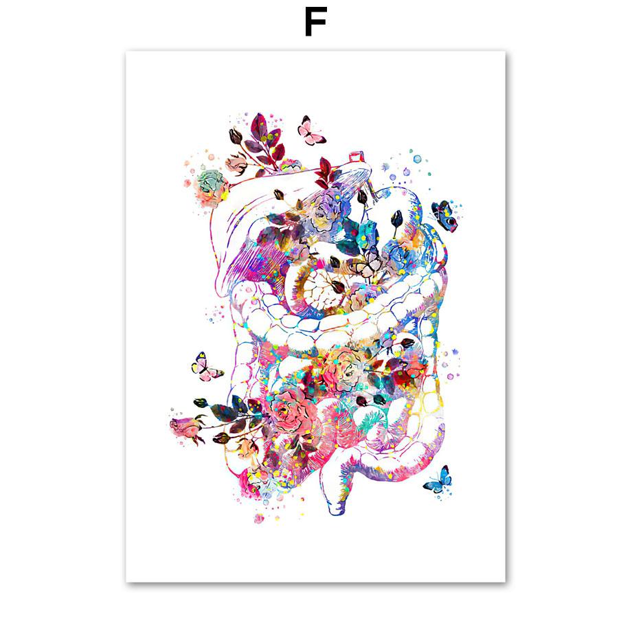 Watercolor Floral Anatomy Posters And Print Physiology Syringe Stethoscope Heart Lung Wall Art Canvas Painting Indoor Room Decor