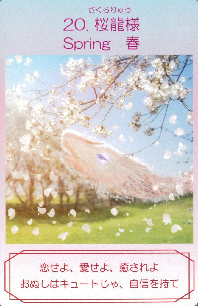 Dragon Healing Oracle Cards | Tidasato and Ryu Aikawa | 38 Cards with Japanese Instructions [Authentic]