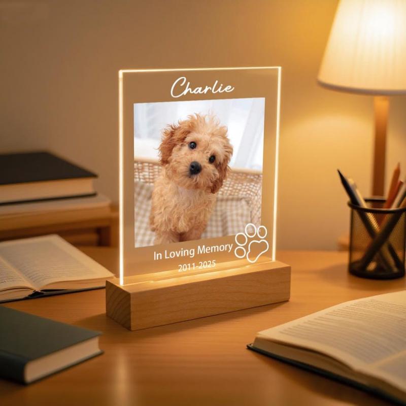 Personalized Pet Photo Acrylic Ornament Wooden Base Custom Pet Silhouette Decor Sign Home Desk Entrance Cute Pet Keepsake Gift
