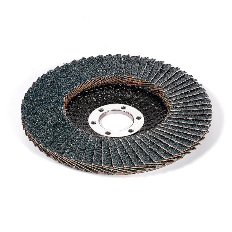 SATA 55401 Flap Sanding Disc