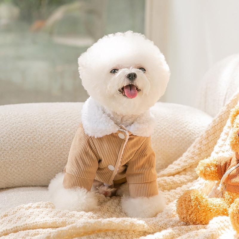 Herbst und Winter Verdickt Warm Hund Lammwolle Bär Aufkleber Niedlich Baumwolle Mantel Katze Zweibeiner Haustier Jacke Kleidung