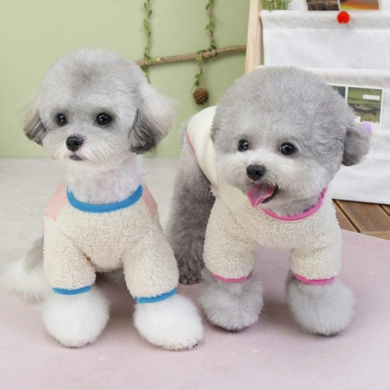 Luxury Cute Dog Clothes Autumn Dog Hoodies Warm Pet Sweater Soft Puppy Pullovers Cartoon Print Cat Vest Pet Shirt Poodle Apparel