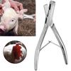 UShaped Pig Ear Tag Pliers Hole Tongs Forcep for Farm Animals Livestock Supplies(UShape )